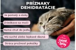 Pupex Catnip Spray Pupex Catnip Spray