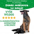 6 varovných znamení, že váš miláčik má problémy s ušami